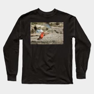 Lets Go Drinking Long Sleeve T-Shirt